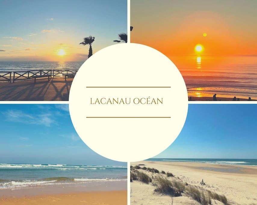 라카노오세앙 Superbe Vue A 180° Sur L'Ocean 아파트 외부 사진